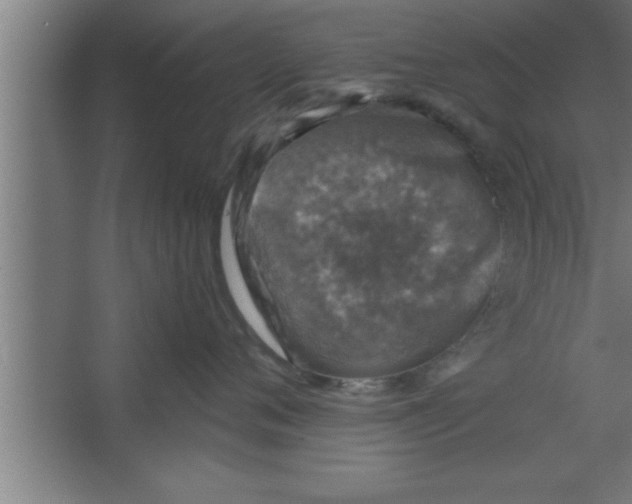 X0000067460720200604281828