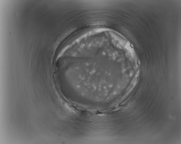 X0000067460721200604281827