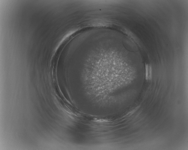 X0000067460723200604281827