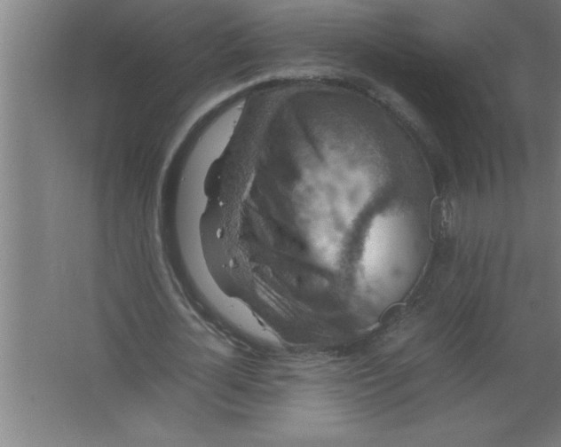 X0000067460724200604281827