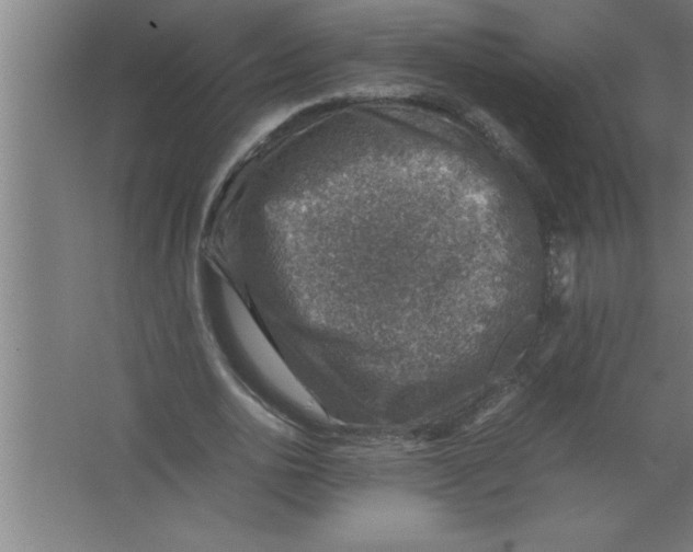 X0000067460726200604281827