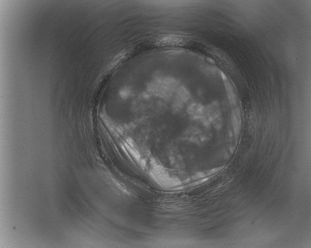 X0000067460729200604281827