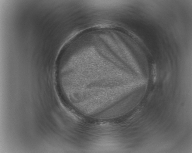 X0000067460730200604281827