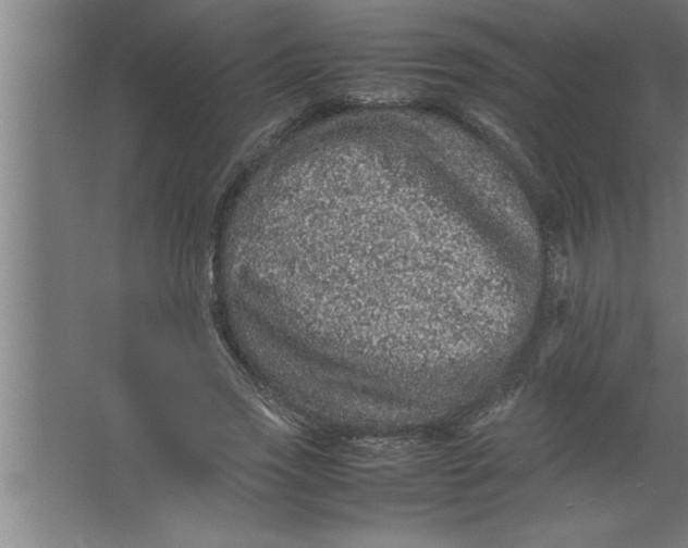 X0000067460733200604281827