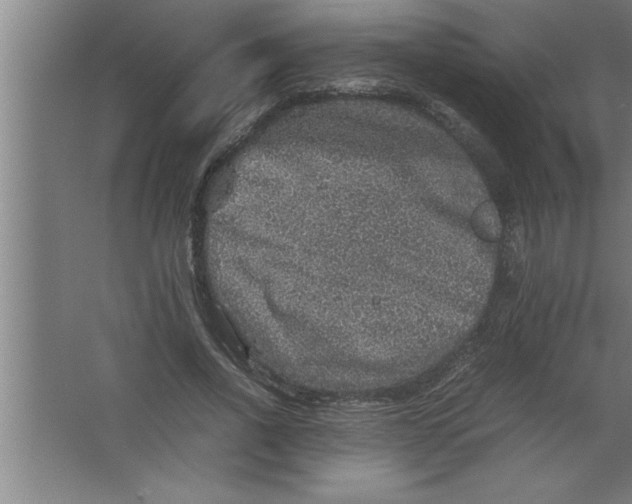 X0000067460734200604281827