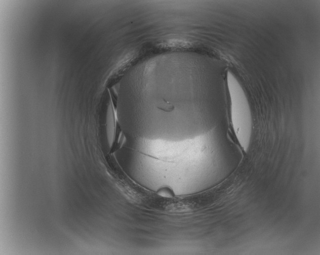 X0000067460735200604281827