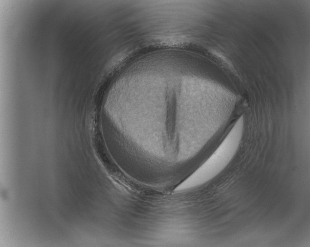 X0000067460736200604281827