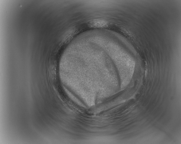 X0000067460739200604281827