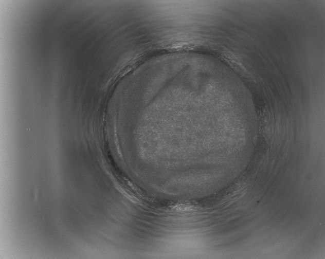 X0000067460742200604281828