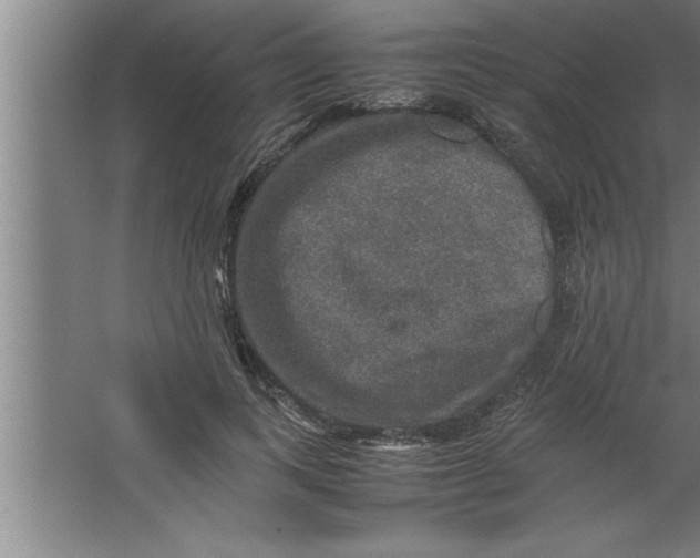 X0000067460743200604281828