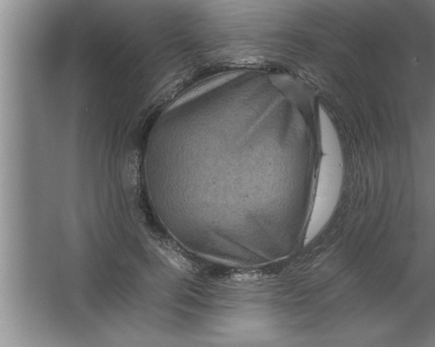 X0000067460744200604281828