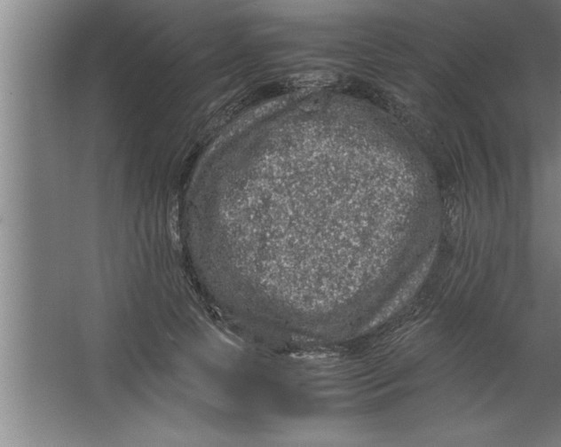 X0000067460745200604281828