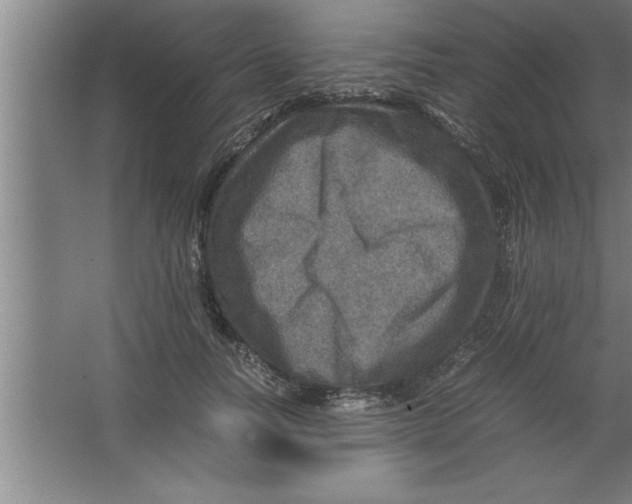 X0000067460746200604281828