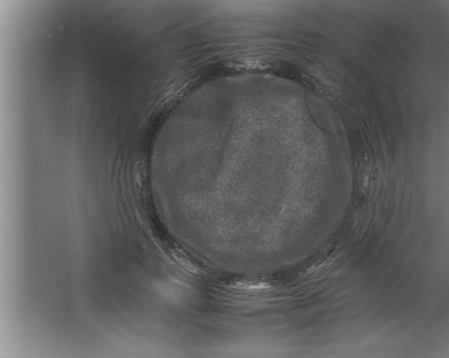 X0000067460747200604281828