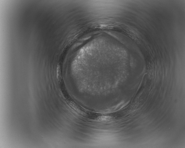 X0000067460748200604281828