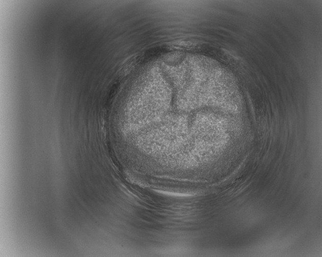 X0000067460749200604281828