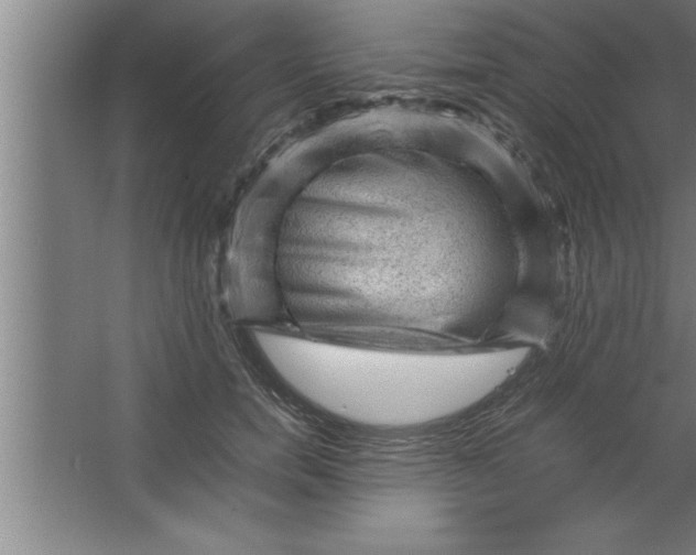 X0000067460750200604281828