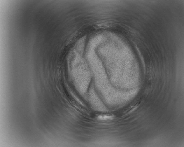 X0000067460751200604281828