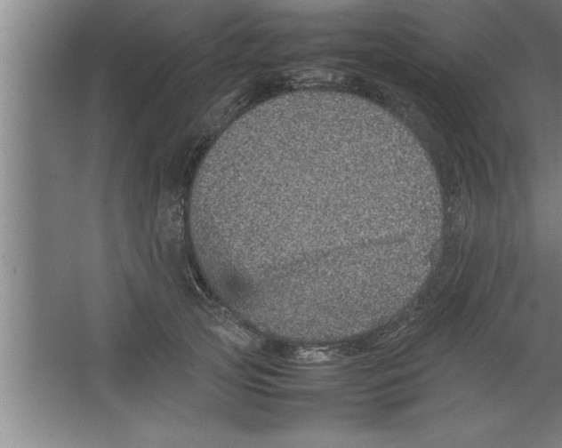 X0000067460753200604281828