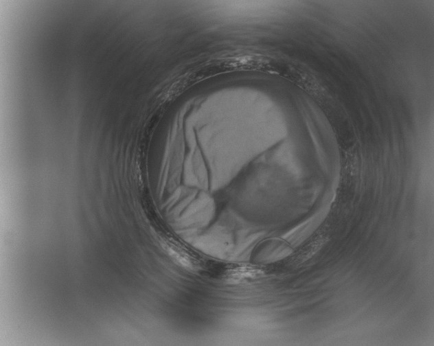 X0000067460754200604281828