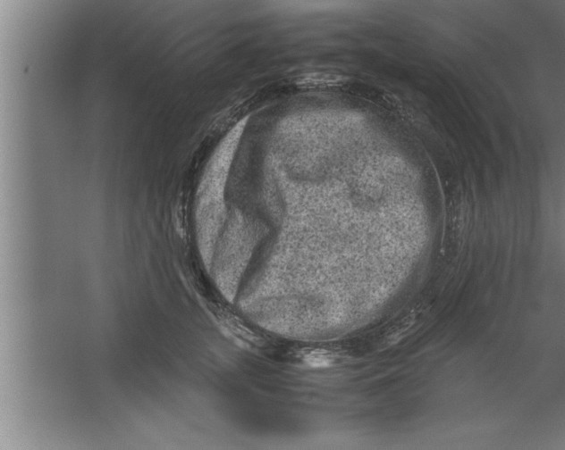 X0000067460755200604281828