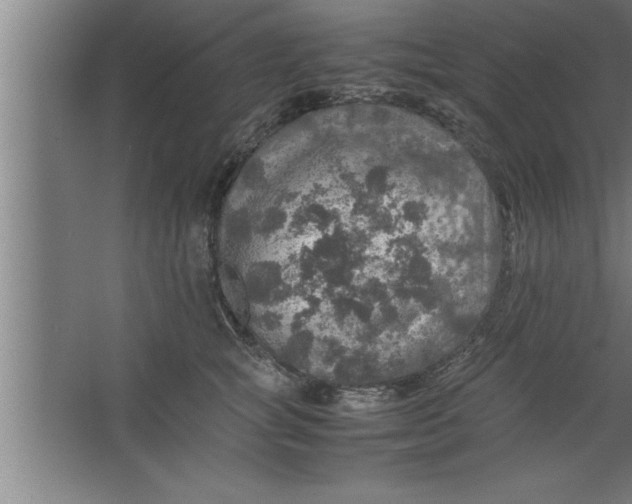 X0000067460757200604281828