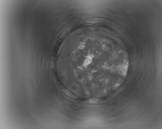 X0000067460758200604281828