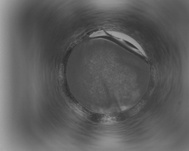 X0000067460760200604281828