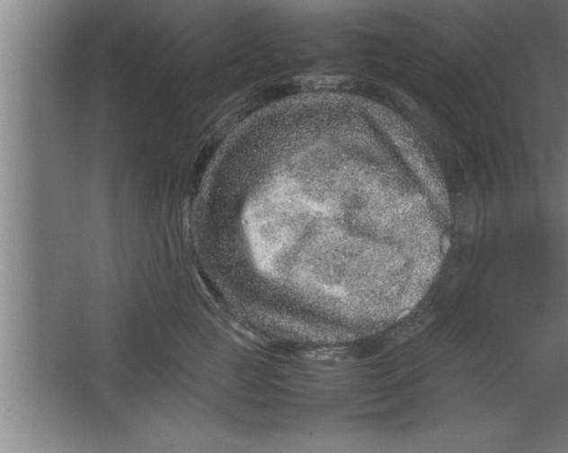 X0000067460761200604281828