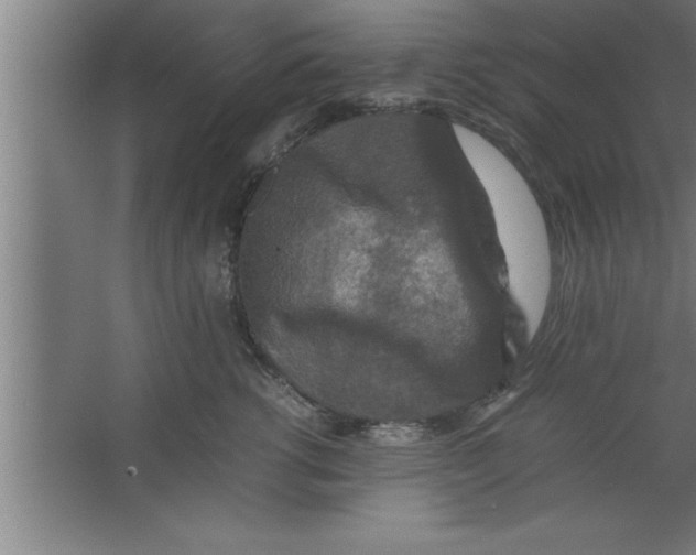 X0000067460762200604281828