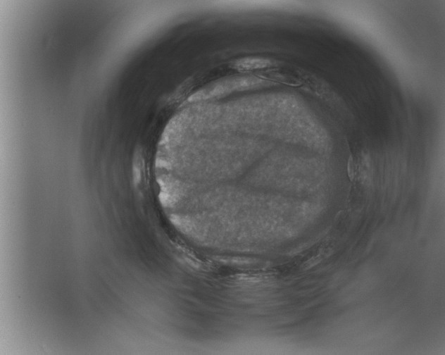 X0000067460763200604281828