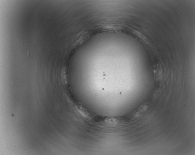 X0000067460764200604281828