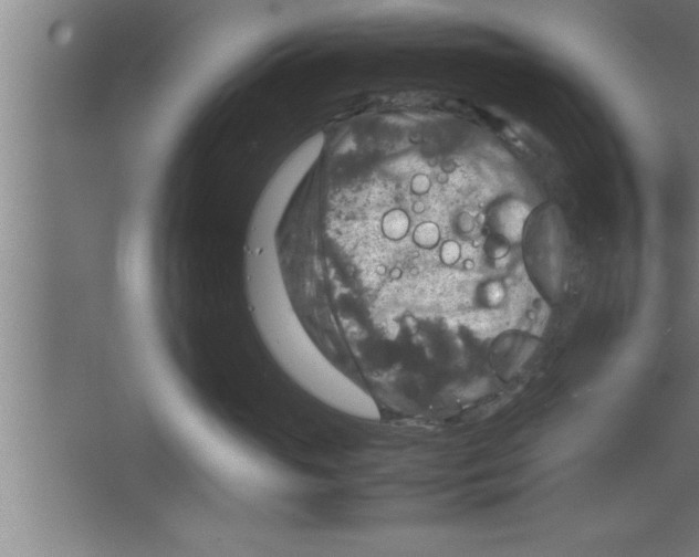 X0000067460765200604281828