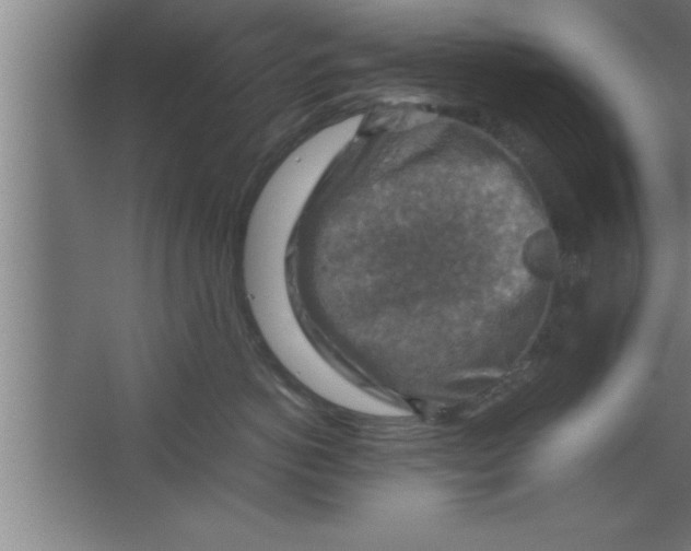 X0000067460766200604281828