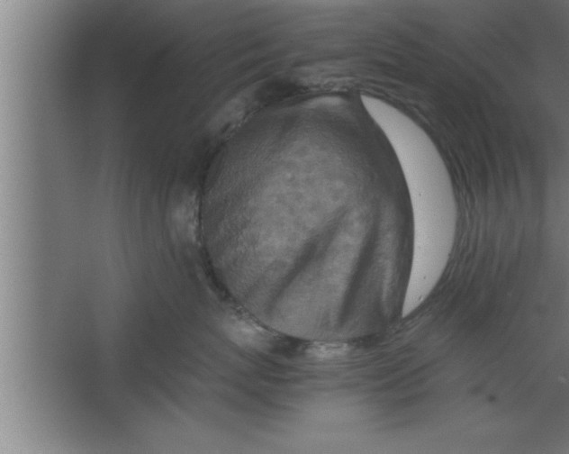 X0000067460767200604281828