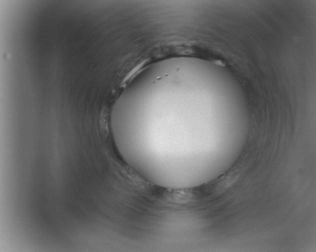 X0000067460768200604281828