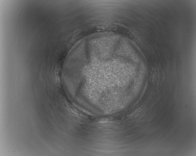 X0000067460770200604281827