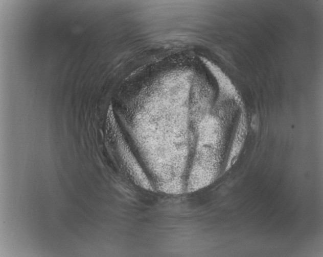 X0000067460771200604281827