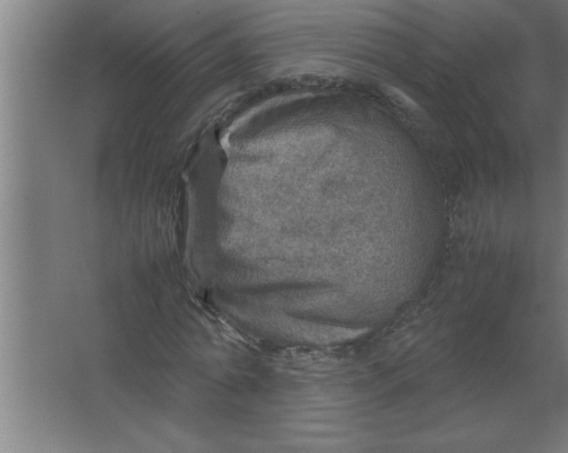 X0000067460774200604281827