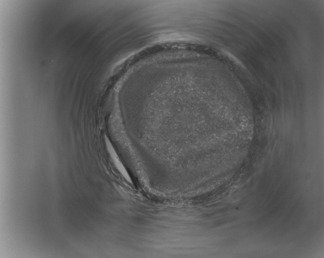 X0000067460775200604281827