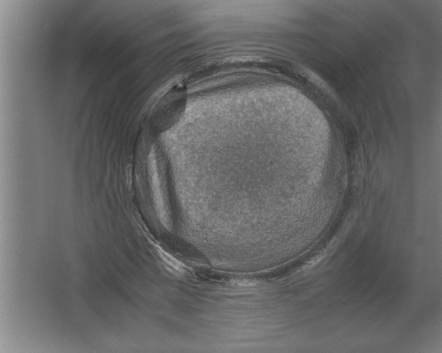 X0000067460777200604281827