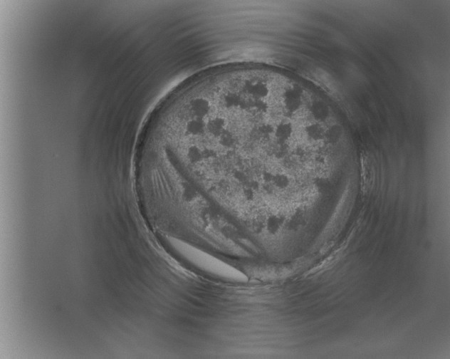 X0000067460780200604281827