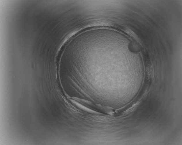 X0000067460781200604281827