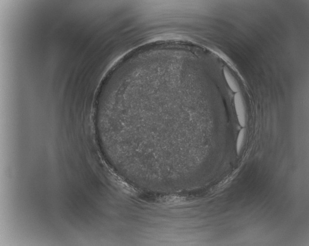 X0000067460783200604281827