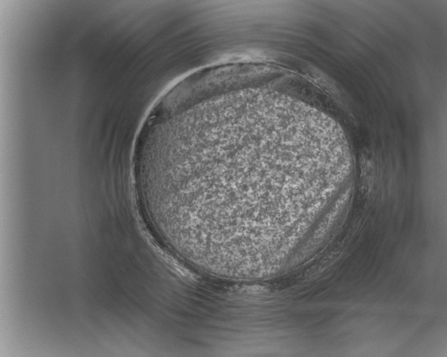 X0000067460784200604281827