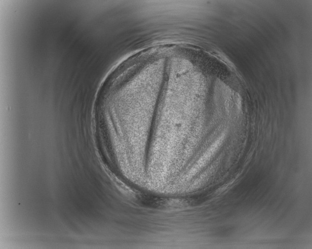 X0000067460787200604281827