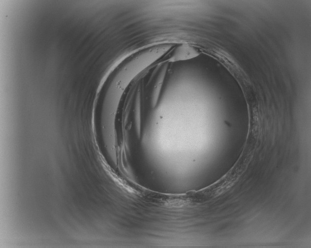 X0000067460788200604281827