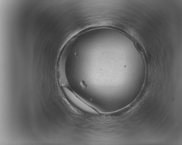 X0000067460789200604281827