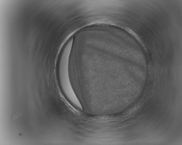 X0000067460791200604281827