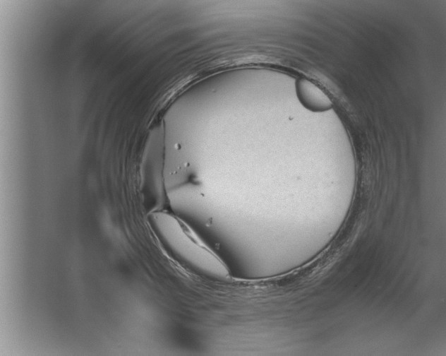 X0000067460793200604281827